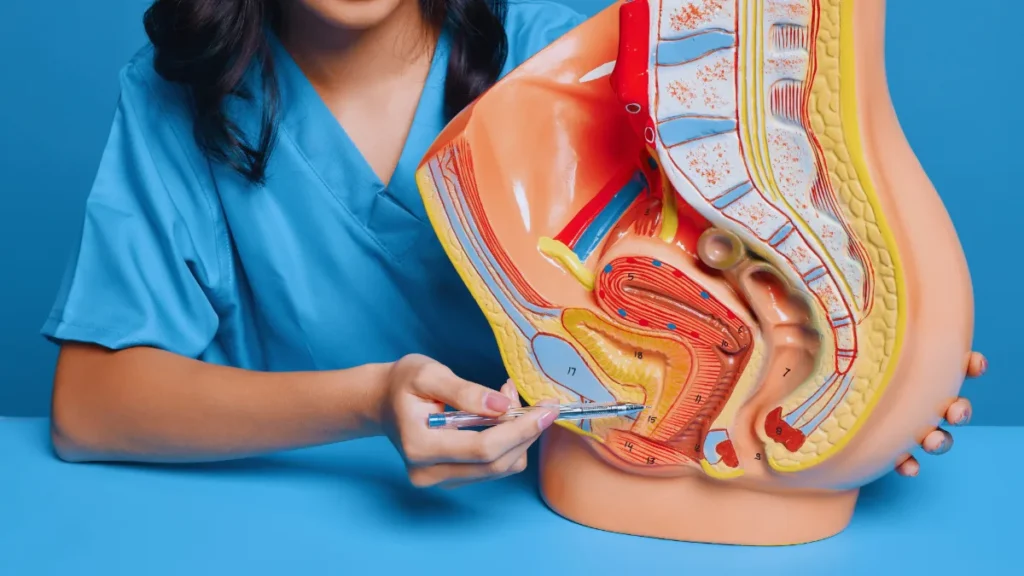 MS Bladder Problems: Managing Neurogenic Bladder in Women