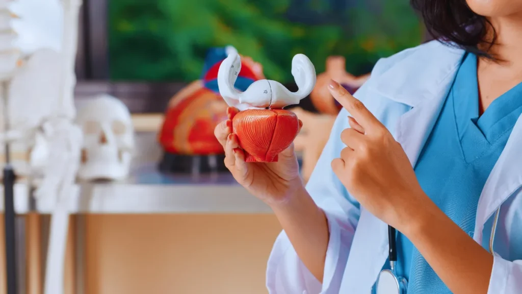 Urinary bladder doctor – pelvic floor and urogynecology treatment
